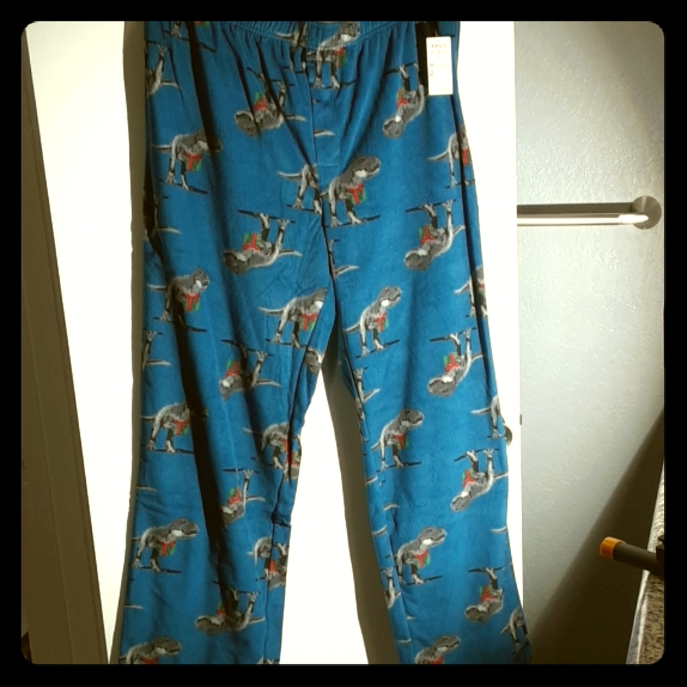 NWT Dinosaur Xmas PJ Pants